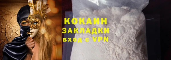 прущие грибы Магадан
