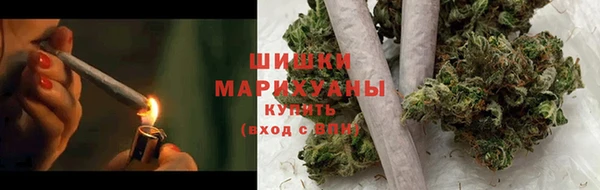 прущие грибы Магадан