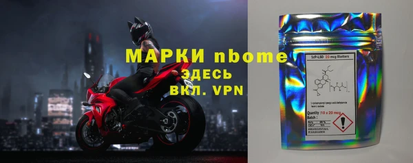 прущие грибы Магадан