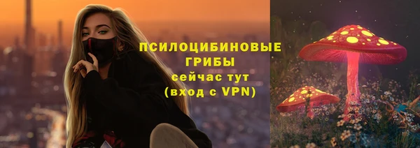 прущие грибы Магадан