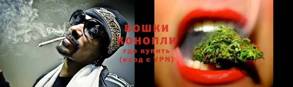 прущие грибы Магадан
