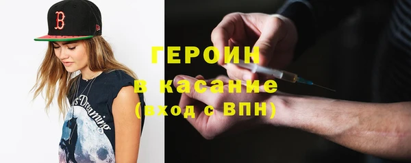 прущие грибы Магадан