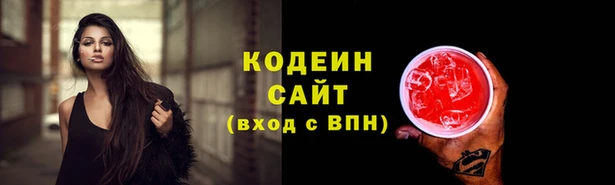 прущие грибы Магадан