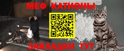 крисы Бийск