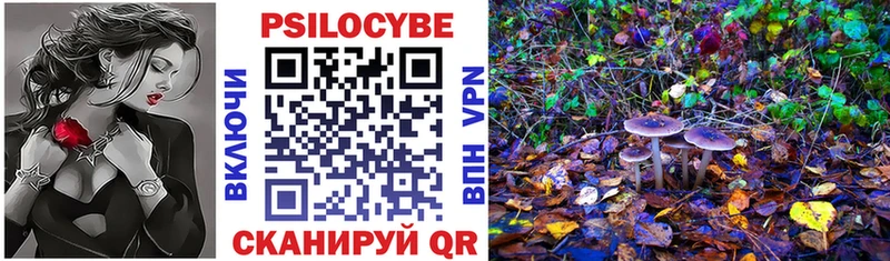 kraken как войти  Березники  Галлюциногенные грибы мухоморы 