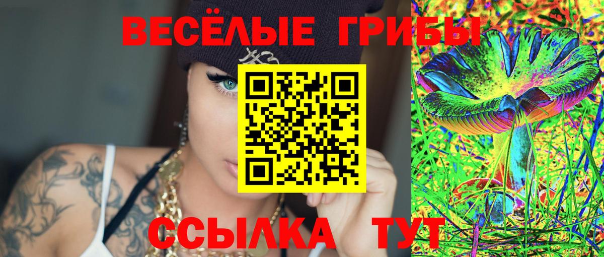 Псилоцибиновые грибы MAGIC MUSHROOMS Березники