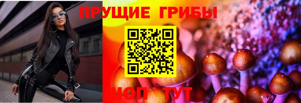 наркота  Псилоцибиновые грибы мицелий  Вход с VPN  Березники 